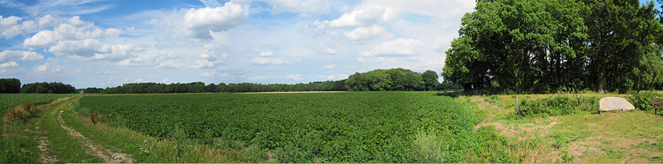 Geselberg met omgeving